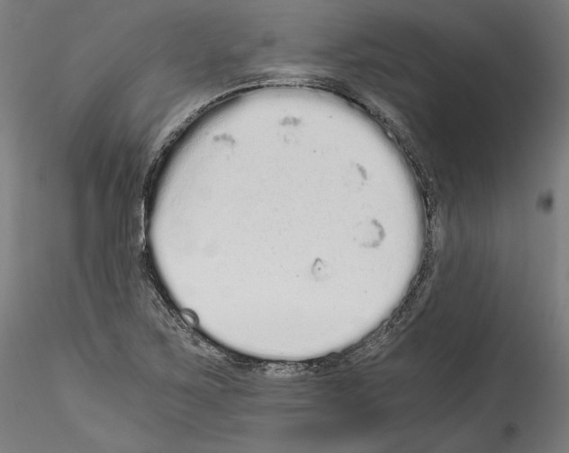 X0000114521267200911301108