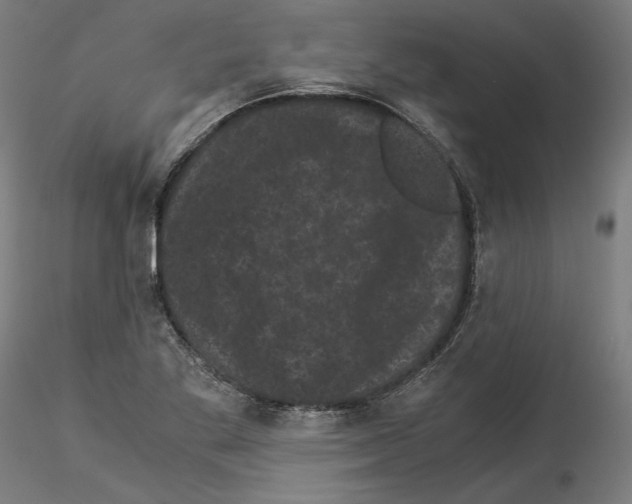 X0000114521269200911301108