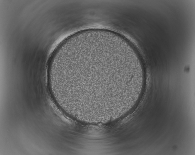 X0000114521270200911301108