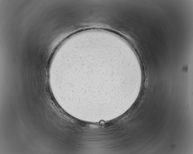 X0000114521271200911301108