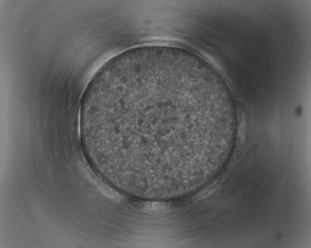 X0000114521275200911301108