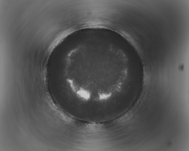 X0000114521277200911301108