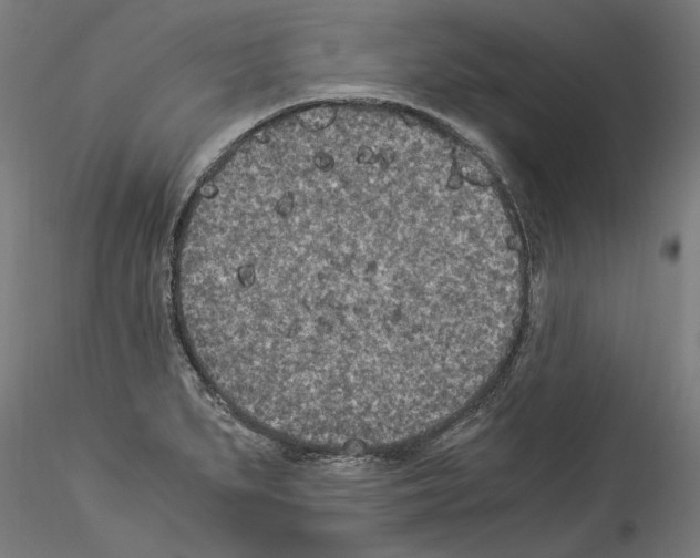 X0000114521279200911301108