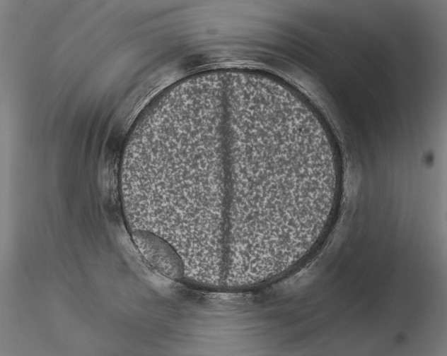 X0000114521281200911301108