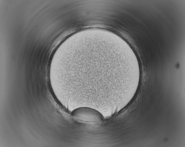 X0000114521282200911301108