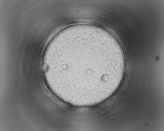 X0000114521283200911301108