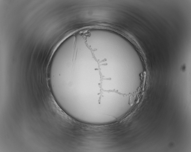 X0000114521284200911301108