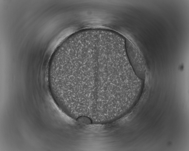 X0000114521285200911301108