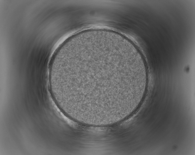 X0000114521286200911301108