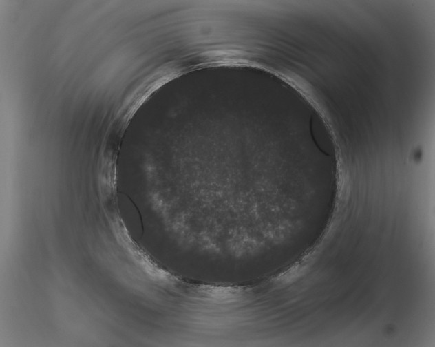 X0000114521289200911301108