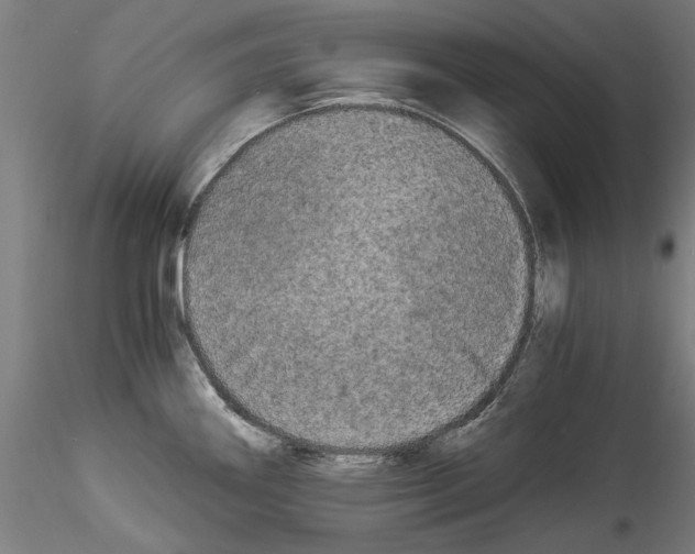 X0000114521290200911301108