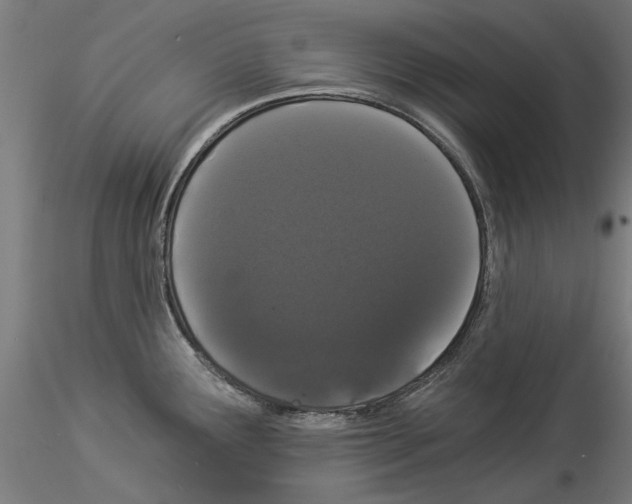 X0000114521291200911301108