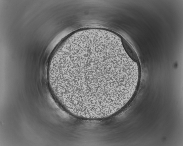 X0000114521293200911301108