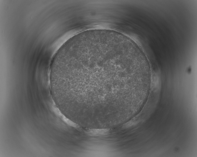 X0000114521294200911301108