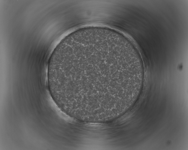 X0000114521295200911301108