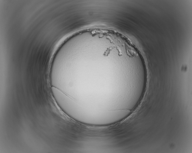 X0000114521296200911301108