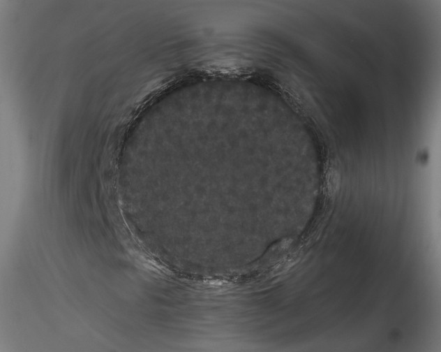 X0000114521297200911301107