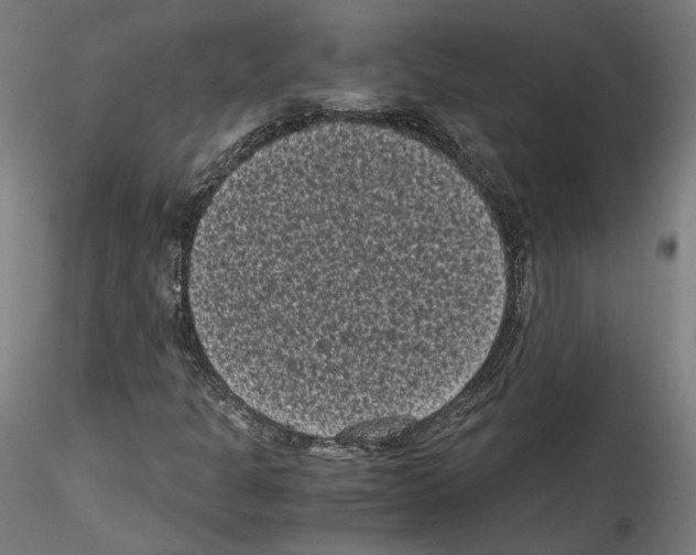 X0000114521301200911301107