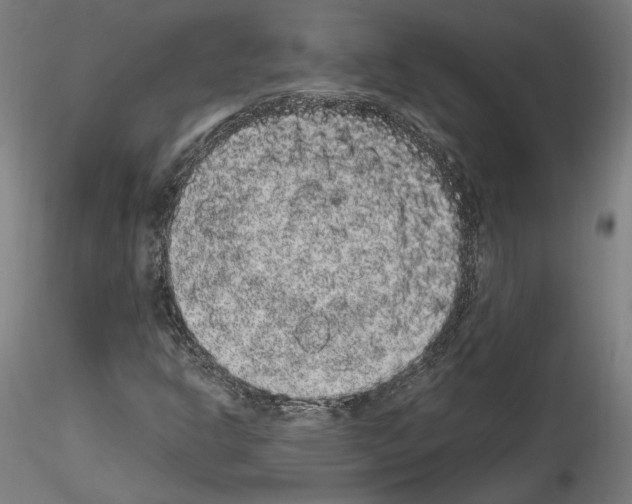 X0000114521302200911301107