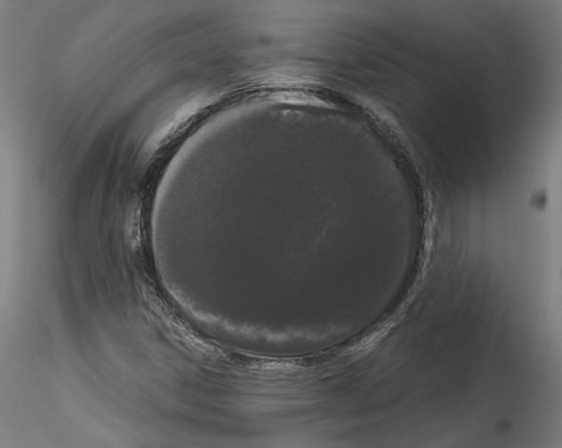 X0000114521306200911301107