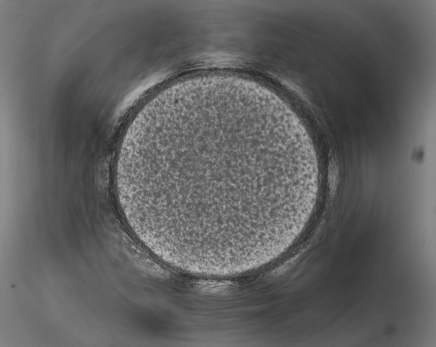 X0000114521309200911301107