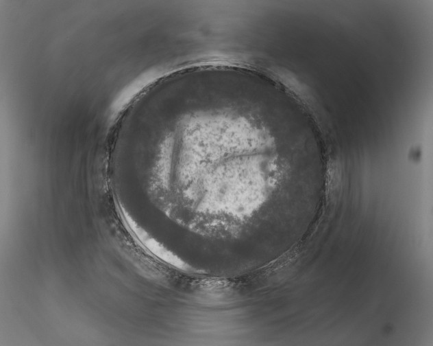 X0000114521310200911301107