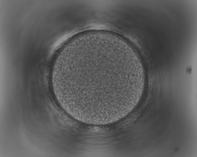 X0000114521311200911301107