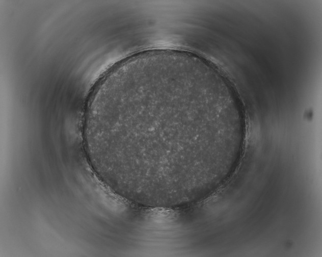 X0000114521314200911301107