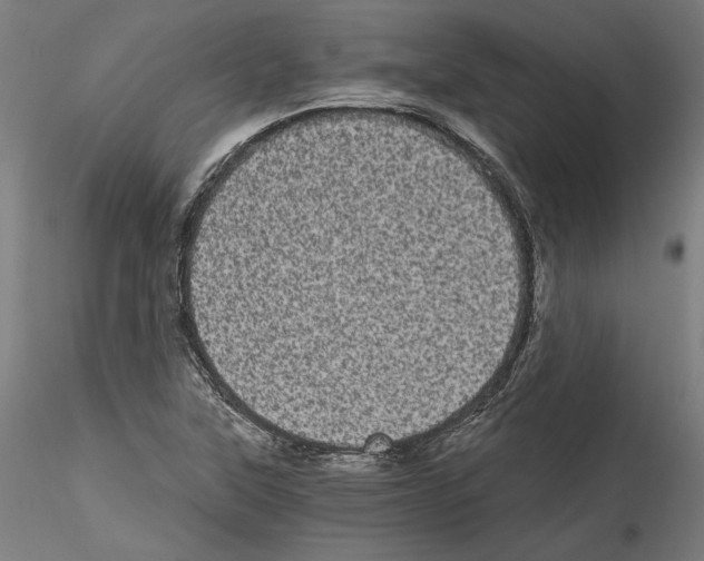 X0000114521315200911301107