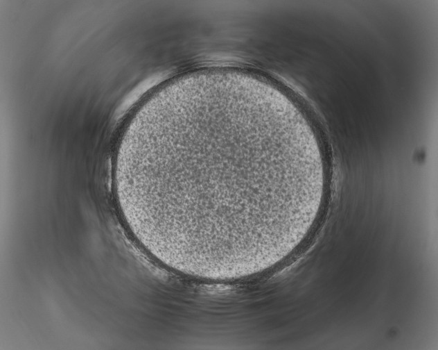 X0000114521317200911301107