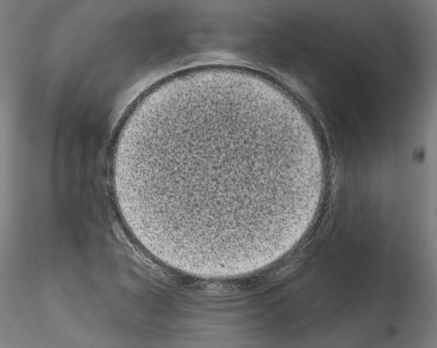 X0000114521318200911301107