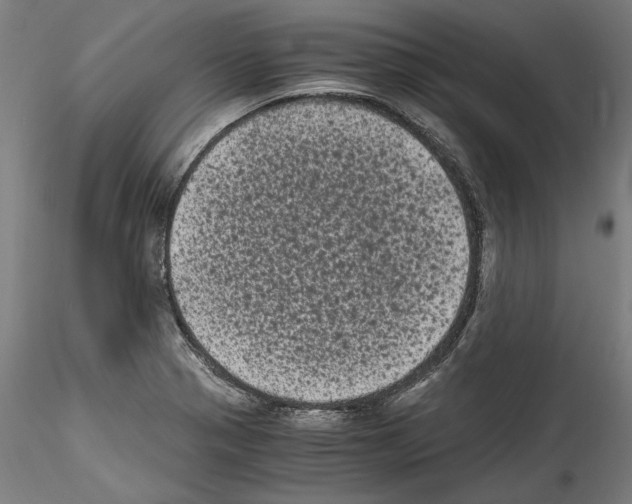 X0000114521321200911301107