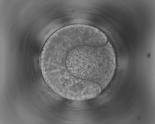 X0000114521322200911301107