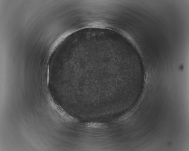 X0000114521323200911301107