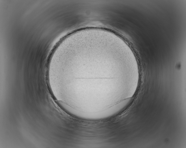 X0000114521326200911301107