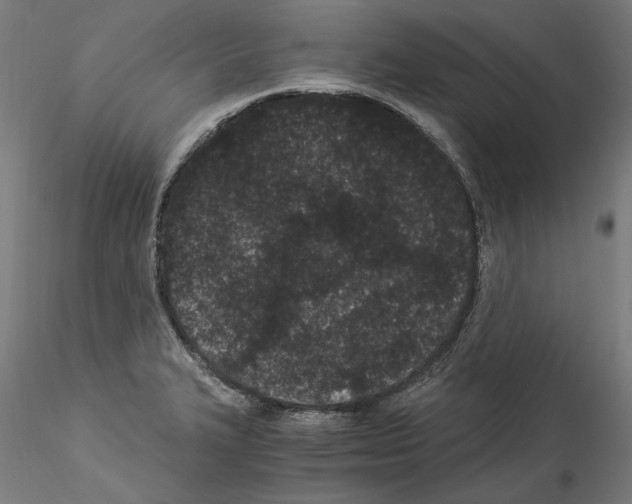 X0000114521327200911301107