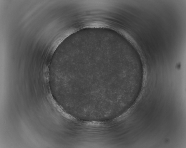 X0000114521329200911301107