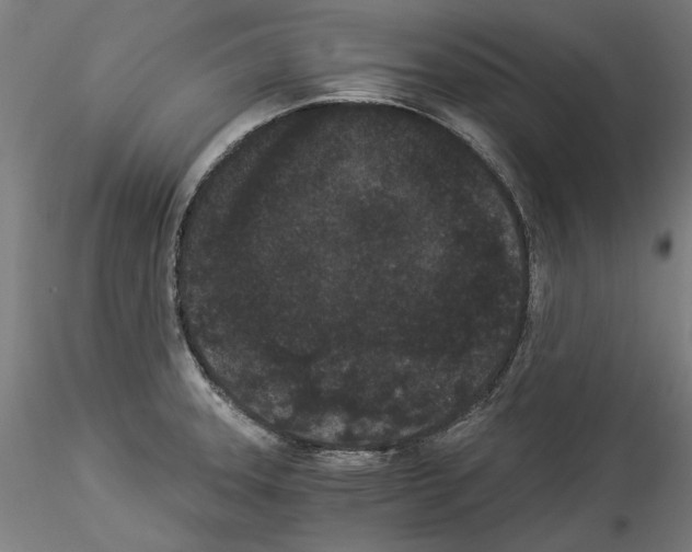 X0000114521331200911301107