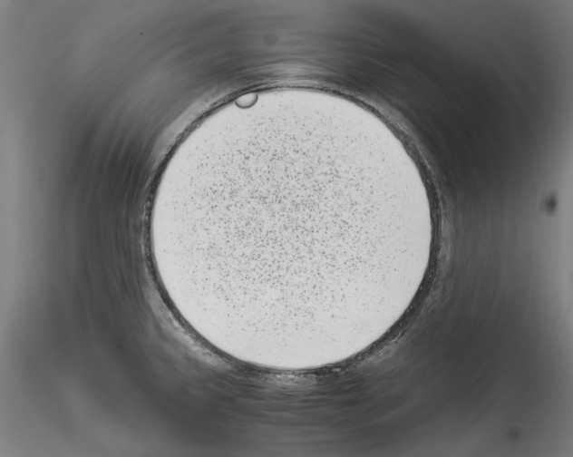 X0000114521333200911301107