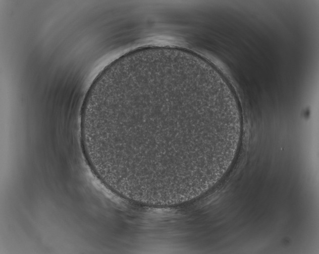 X0000114521335200911301107