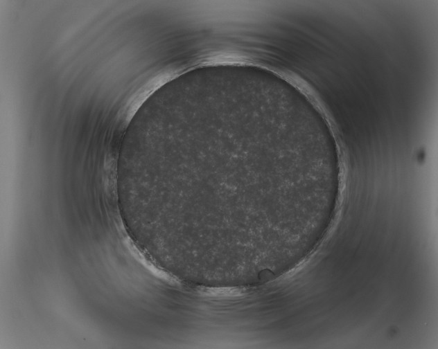 X0000114521337200911301107