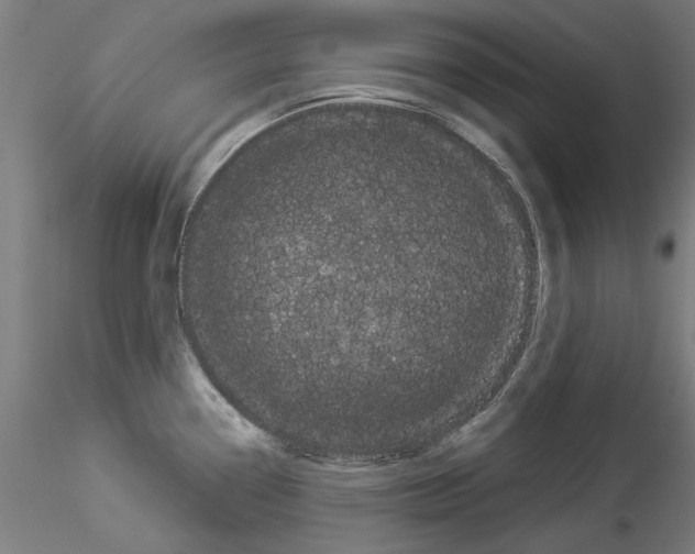 X0000114521338200911301107