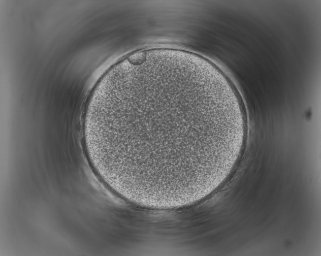 X0000114521341200911301107