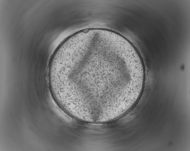 X0000114521342200911301107