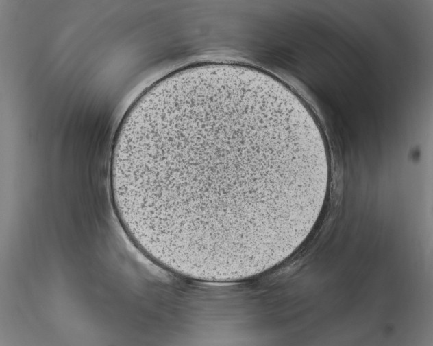 X0000114521343200911301108