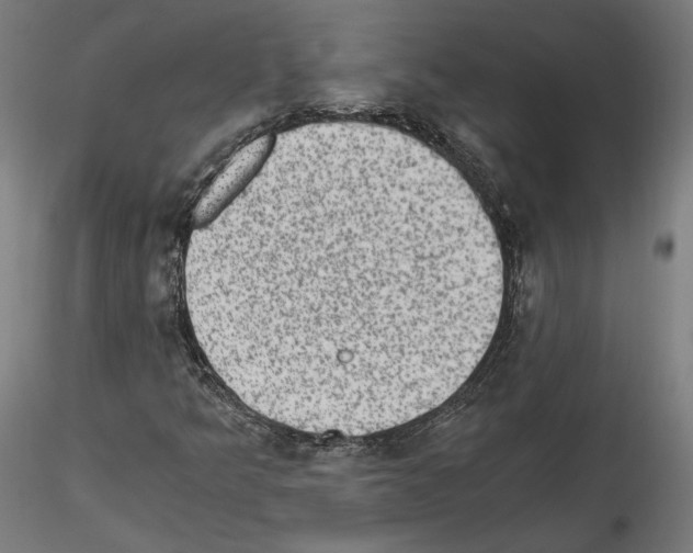 X0000114521349200911301107