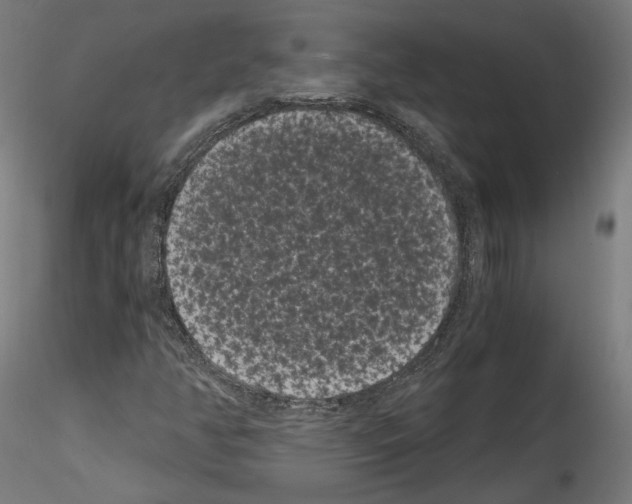 X0000114521350200911301107