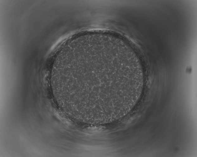 X0000114521351200911301107