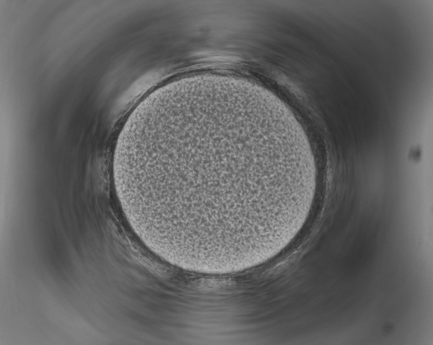 X0000114521354200911301107