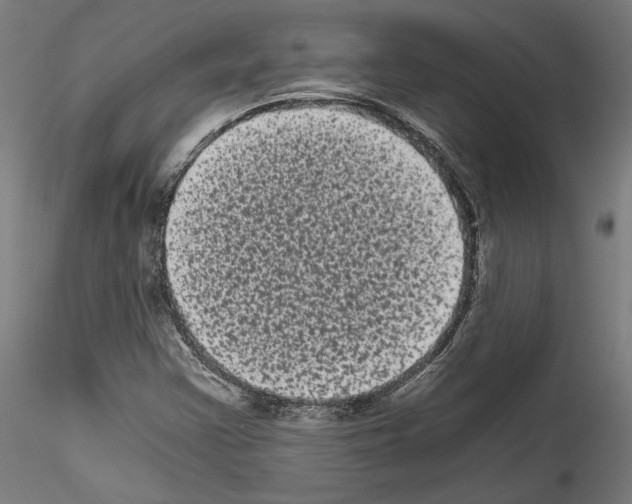 X0000114521355200911301107